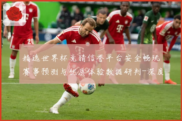 精选世界杯竞猜信誉平台安全畅玩赛事预测与优质体验数据研判-深度解析