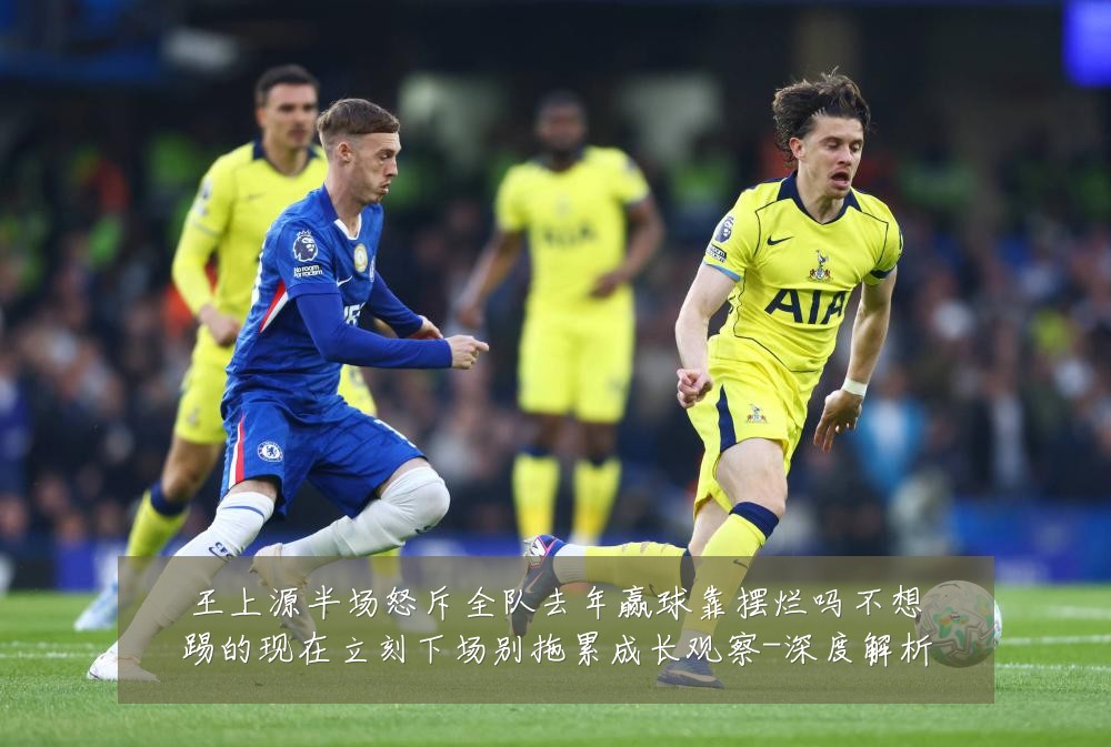 王上源半场怒斥全队去年赢球靠摆烂吗不想踢的现在立刻下场别拖累成长观察-深度解析