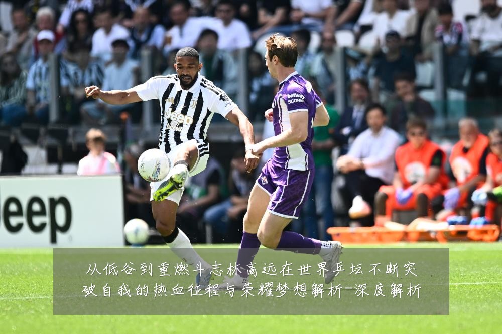 从低谷到重燃斗志林高远在世界乒坛不断突破自我的热血征程与荣耀梦想解析-深度解析